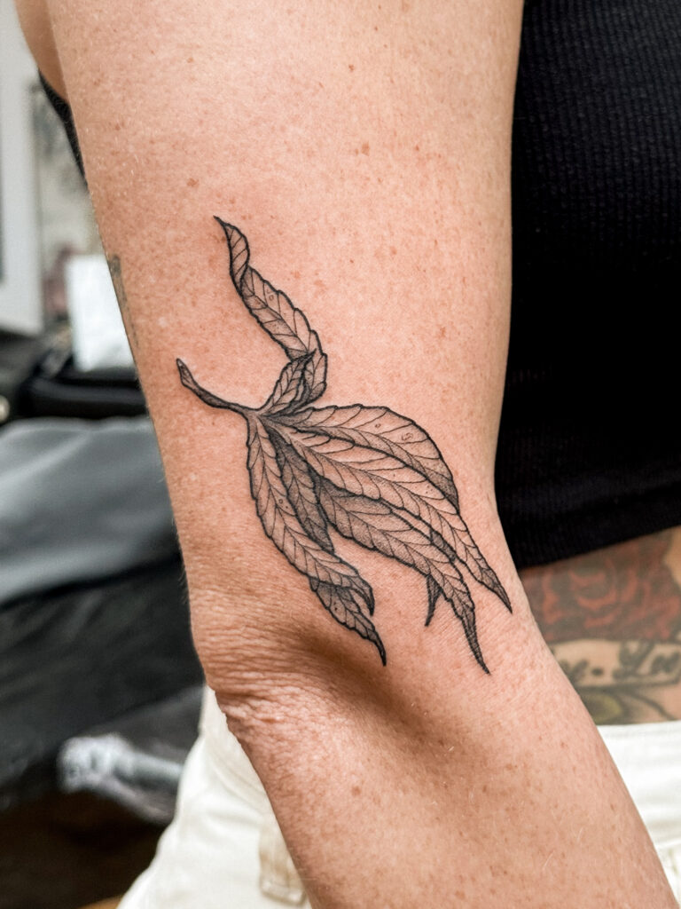 Stephanie tattoo werk